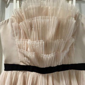 BCBG Blush Ruffled Dress with Removable Straps